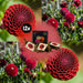Dahlia Pompom Natal - Æske Med 12 Løg