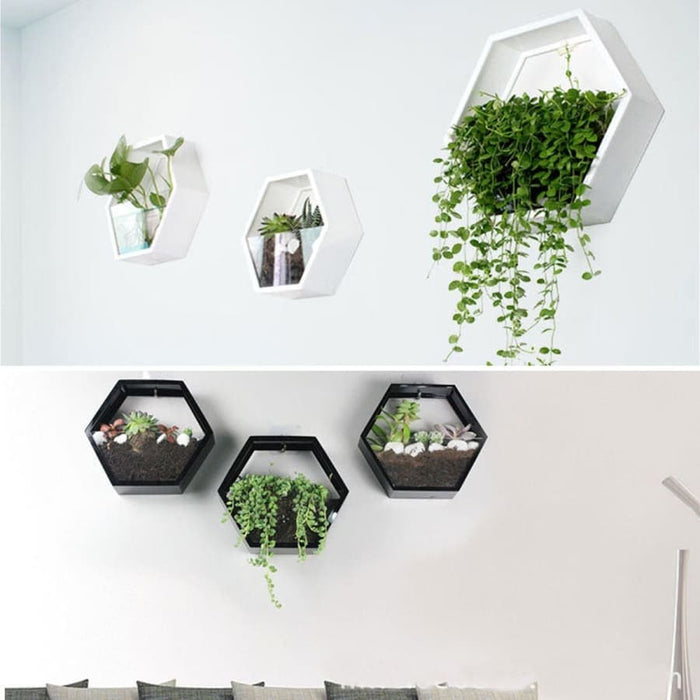 Eden Terrarium Vægdekoration