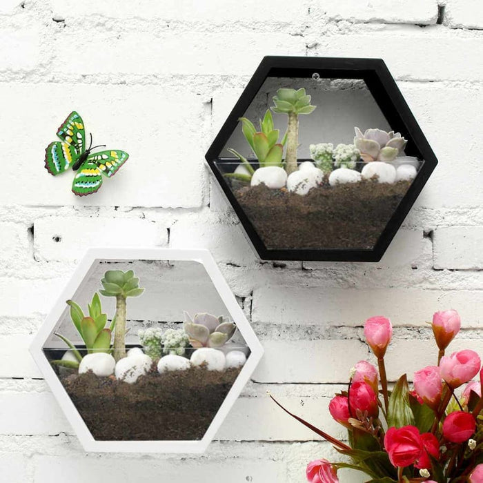 Eden Terrarium Vægdekoration