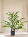 Dieffenbachia - Kunstig Grøn Plante