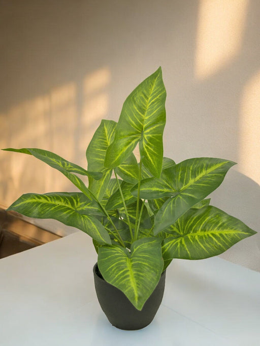 Dieffenbachia - Kunstig Grøn Plante