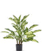 Dieffenbachia - Kunstig Grøn Plante