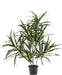 Dracaena Reflexa - Kunstig Grøn Plante