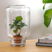 Easyplant - Babyplante Under Glas