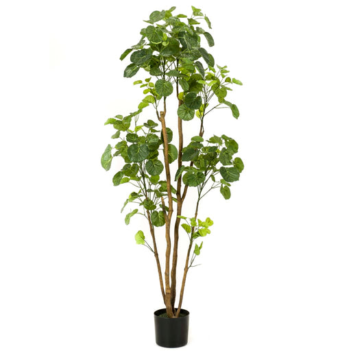 Emerald Kunstigt Polyscias Træ I Potte 160 Cm