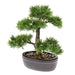 Smaragdgrøn Kunstig Cedertræ Bonsai 32 Cm