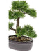 Smaragdgrøn Kunstig Cedertræ Bonsai 32 Cm