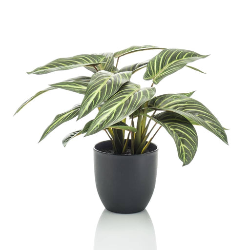 Emerald Calathea Kunstig Zebrina 38 Cm I Pot