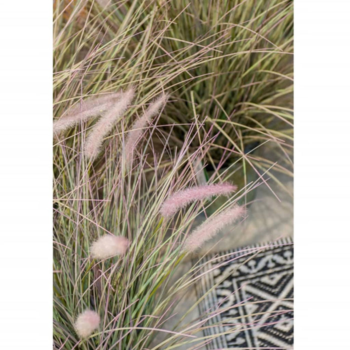 Smaragd Kunstig Pennisetum Græs 58 Cm I Zink Potte