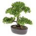 Emerald Mini Kunstig Ficus Bonsai Grøn 32 Cm