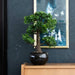 Emerald Mini Kunstig Ficus Bonsai Grøn 47 Cm