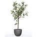 Emerald Mini Kunstig Olivier 65 Cm