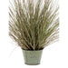 Emerald Pennisetum Kunstig Grøn 71 Cm