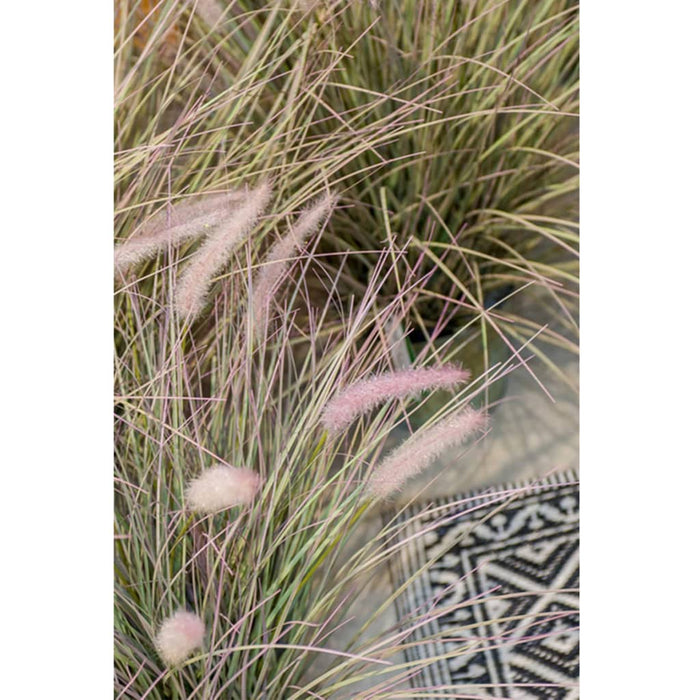 Emerald Pennisetum Kunstig Grøn 71 Cm