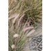 Emerald Pennisetum Kunstig Grøn 71 Cm