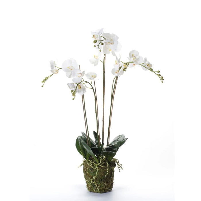 Kunstig Emerald Phalaenopsis Med Hvidt Skum 90 Cm