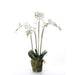 Kunstig Emerald Phalaenopsis Med Hvidt Skum 90 Cm