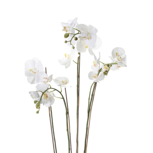 Kunstig Emerald Phalaenopsis Med Hvidt Skum 90 Cm