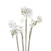 Kunstig Emerald Phalaenopsis Med Hvidt Skum 90 Cm