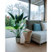 Smaragd Kunstig Plante Heliconia Grøn 125 Cm