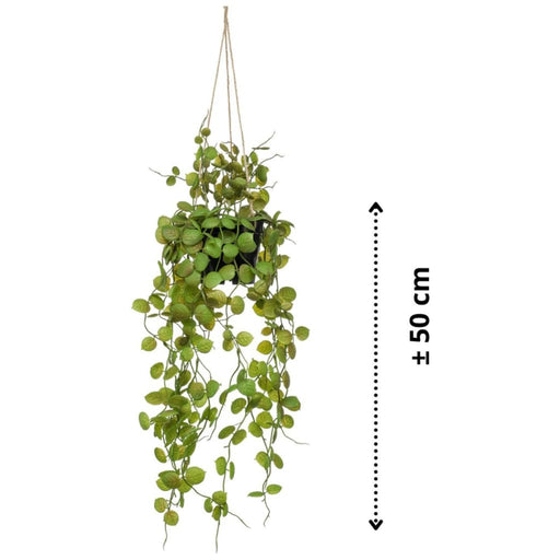Smaragd Kunstig Hængeplante Ceropegia 50 Cm I Potte