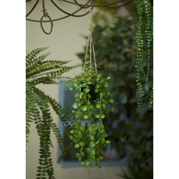 Smaragd Kunstig Hængeplante Ceropegia 50 Cm I Potte