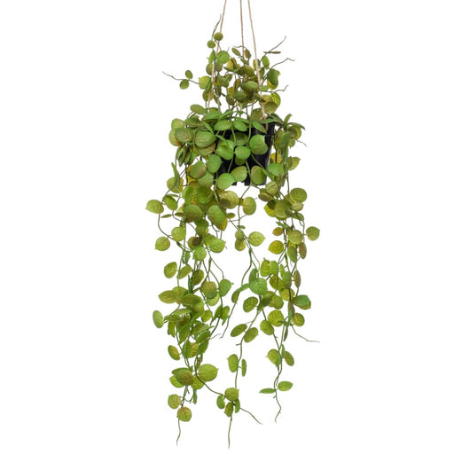 Smaragd Kunstig Hængeplante Ceropegia 50 Cm I Potte