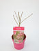 Japansk Ahorn 'Extravaganza'® - ↨40Cm - Ø19Cm - Udendørs Plante