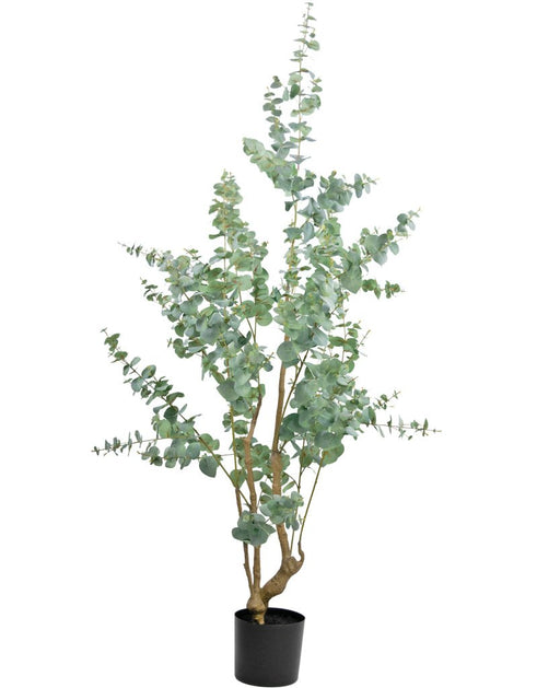 Eucalyptus - Kunstigt Træ