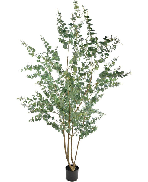 Eucalyptus - Kunstigt Træ