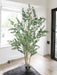 Eucalyptus - Kunstigt Træ