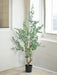 Eucalyptus - Kunstigt Træ