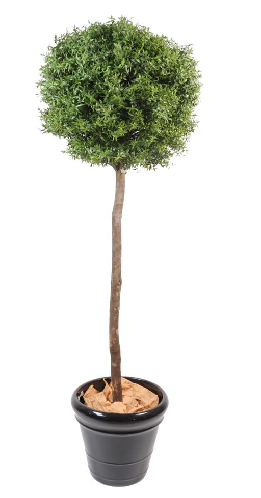 Kunstig Eukalyptus 110 Cm Til Indendørs Og Udendørs