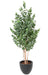 Kunstig Eukalyptus 150 Cm Indendørs Plante