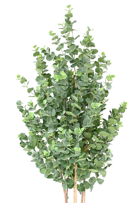 Kunstig Eukalyptus 150 Cm Indendørs Plante