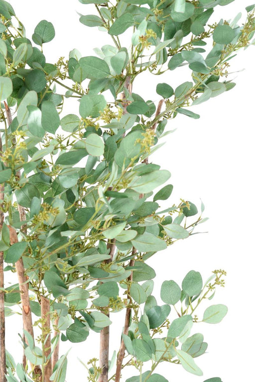 Kunstig Eukalyptus 185 Cm Indendørs Dekorativ Plante