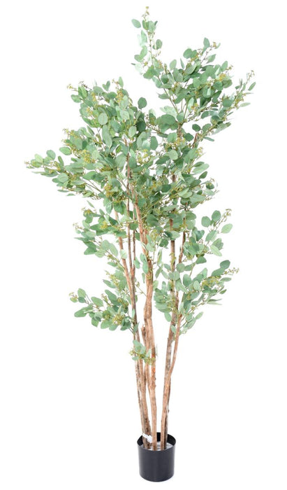 Kunstig Eukalyptus 185 Cm Indendørs Dekorativ Plante