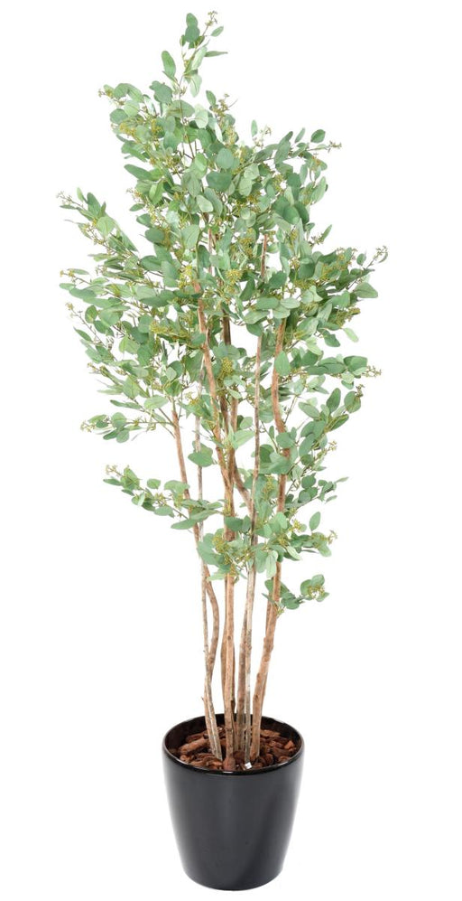 Kunstig Eukalyptus 185 Cm Indendørs Dekorativ Plante