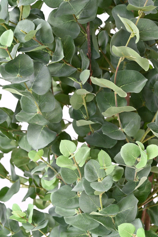 Kunstig Eukalyptus 190 Cm Indendørs Plante