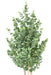 Kunstig Eukalyptus 190 Cm Indendørs Plante