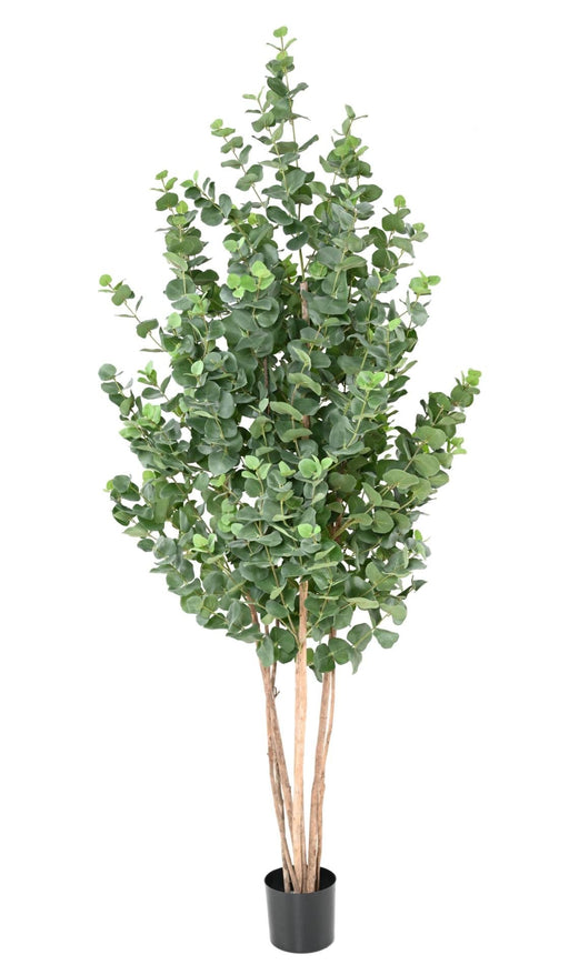 Kunstig Eukalyptus 190 Cm Indendørs Plante