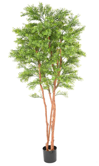 Kunstig Eucalyptus Stor 210 Cm Til Indendørs Udendørs
