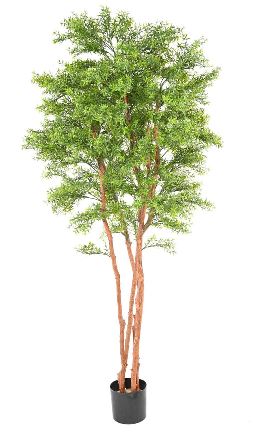 Kunstig Eucalyptus Stor 210 Cm Til Indendørs Udendørs