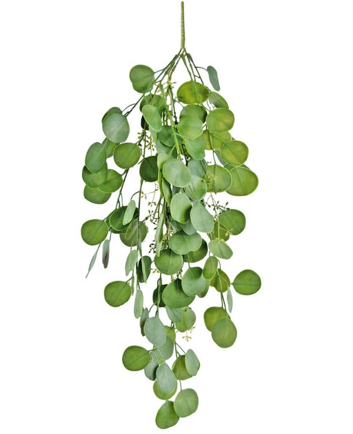 Eucalyptus - Kunstigt Løv Til At Hænge