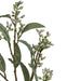 Eucalyptus Grå Bær - Kunstigt Løv