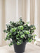 Hvid Eucalyptus - Kunstig Grøn Plante