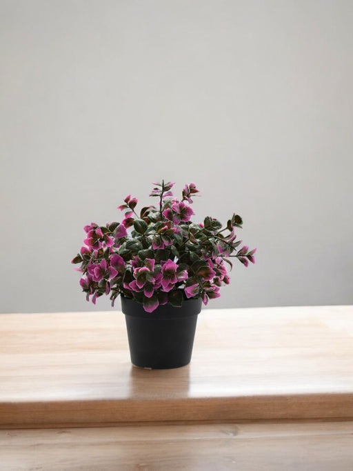 Lilla Eucalyptus - Kunstig Udendørs Plante I Potte