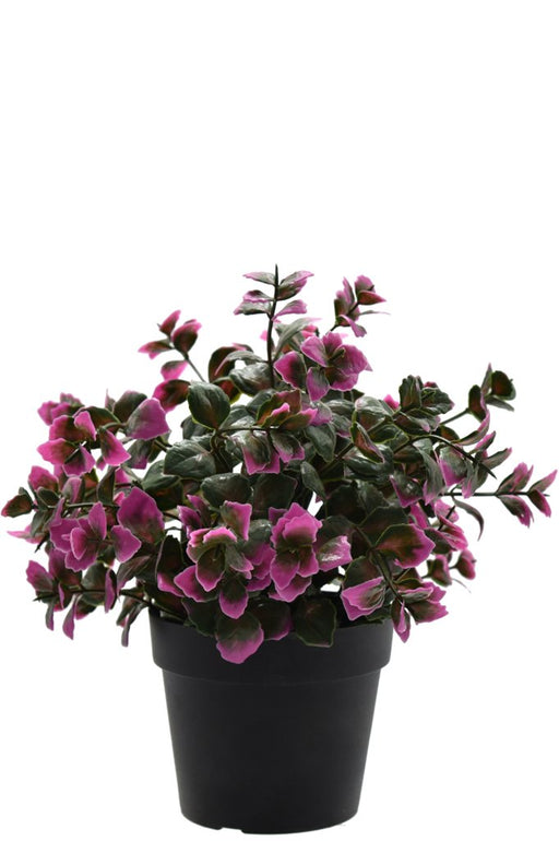 Lilla Eucalyptus - Kunstig Udendørs Plante I Potte
