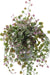 Kunstigt Løv Dicondra 50 Cm Blommegrøn