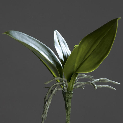 Kunstigt Bladorkidé H.21 Cm Grøn Pæl
